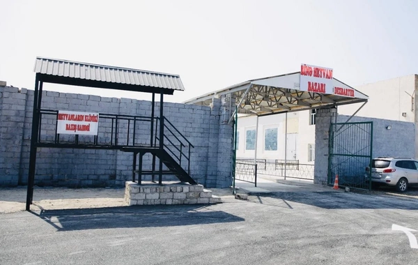 Binə qəsəbəsində yeni heyvan bazarı fəaliyyətə başlayıb