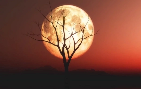 Kanadalı alimdən şok iddia - Yadplanetlilər Ayda gizlənərək Yeri izləyirlər