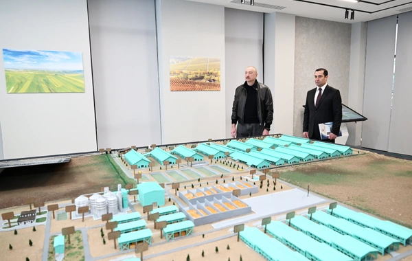 Prezident İlham Əliyev Şamaxıda "Şirvan Aqro" heyvandarlıq kompleksinin açılışında iştirak edib