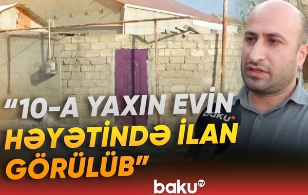 Həyətlərini qurbağalardan sonra ilanlar basan sakinlər təşvişdə