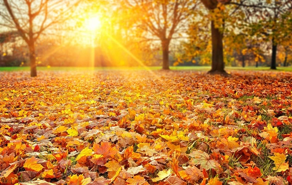 31-dekabr-2-yanvarda Azərbaycanda gözlənilən hava proqnozu açıqlanıb