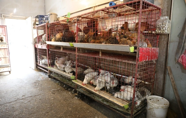 "8-ci km" bazarında nöqsanlar aşkarlanıb