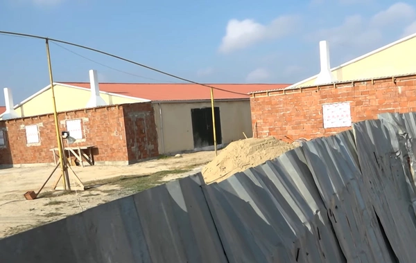 Abşeronda məşhur bağ massivinin sakinlərindən toyuq fermasından ŞİKAYƏT