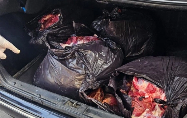 Bərdədə istehlaka yararsız at ətinin satışının qarşısı alınıb