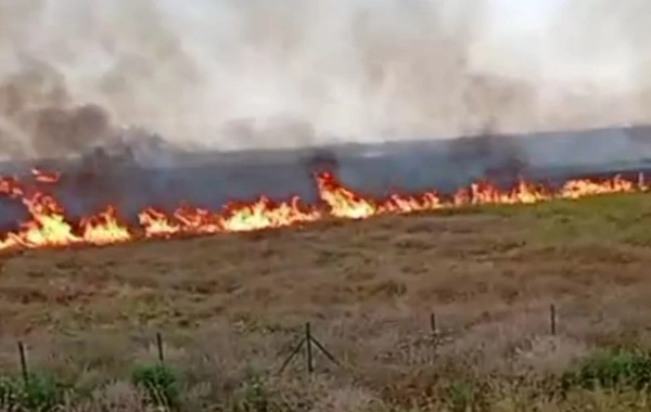 Sarıcalı kəndi yaxınlığında açıq ərazidə YANĞIN BAŞLAYIB