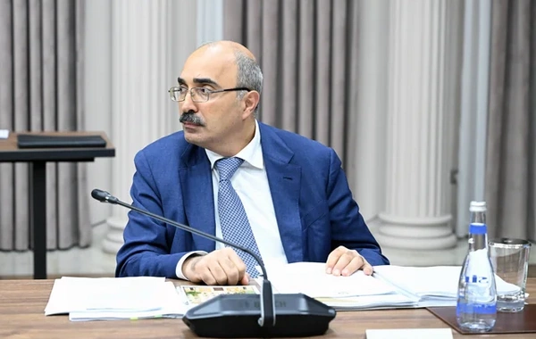 İqtisadi Şuranın iclası keçirildi: Qurumlara tapşırıqlar verildi