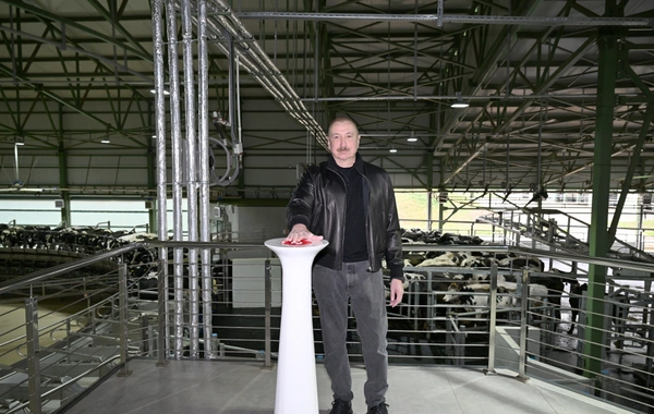 Prezident İlham Əliyev Şamaxıda "Şirvan Aqro" heyvandarlıq kompleksinin açılışında iştirak edib