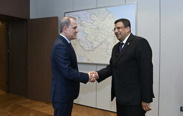 Ceyhun Bayramov Pan-Afrika Parlamentinin prezidenti ilə görüşüb