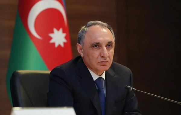 Kamran Əliyev: İş adamı Adnan Əhmədzadənin istintaqı üzrə hazırda əlavə məlumat vermək məqsədəmüvafiq deyil