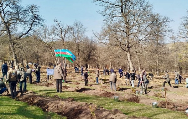 Zəfər Günü ilə əlaqədar 30 mindən artıq ağac əkildi