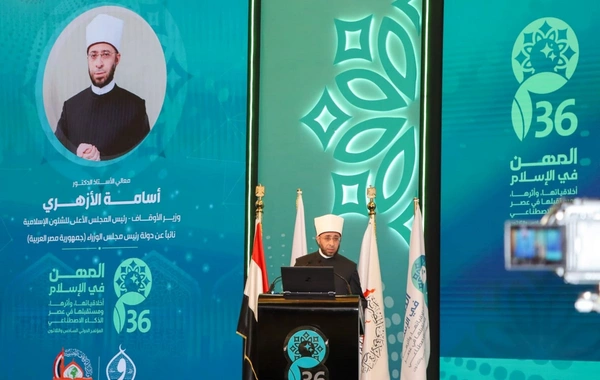 Рамин Мамедов принял участие в международной конференции в Каире