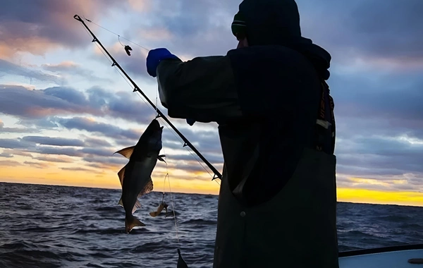 Azərbaycandan Böyük Britaniyaya balıq məhsulları ixrac ediləcək