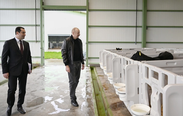 Prezident İlham Əliyev Şamaxıda "Şirvan Aqro" heyvandarlıq kompleksinin açılışında iştirak edib