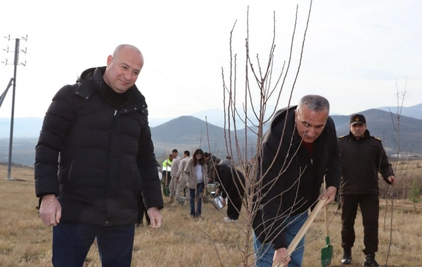 Xocalıda Heydər Əliyevin anım günü münasibətilə ağacəkmə aksiyası keçirilib
