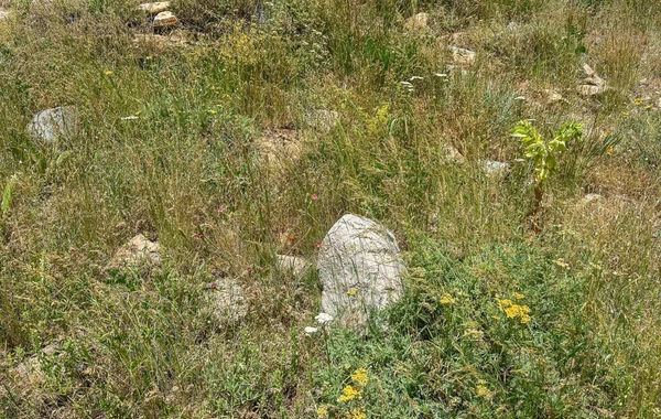 Azərbaycanlıların yaşadığı Qıvraq kəndi: tarixdən silinən izlər və susan yaddaş