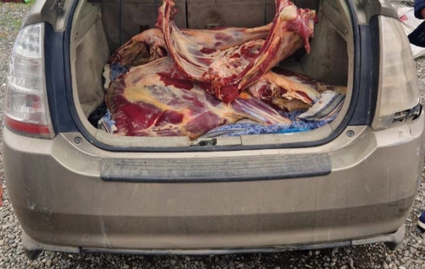 "Toyota Prius"da 92 kq mənşəyi məlum olmayan ət aşkarlanıb
