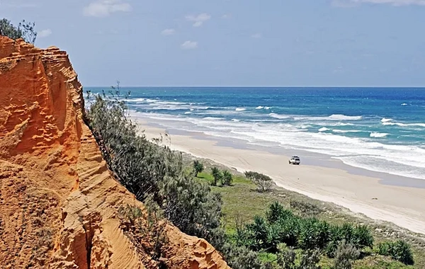Загадочное инопланетное существо вынесло на пляж
