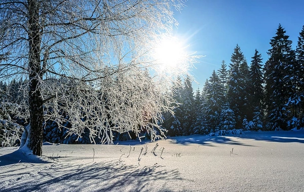 Ölkəyə yağan qarın ərazi üzrə hündürlüyü bilindi