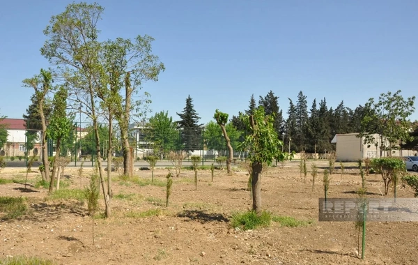 Biləsuvarda yeni park salınıb
