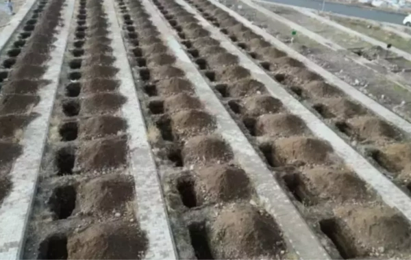 Türkiyənin bu şəhərində hər il 500 məzar qazılır - SƏBƏB