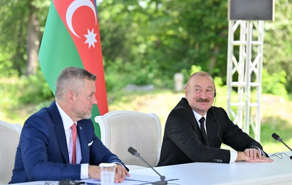 Azərbaycan və Slovakiya prezidentləri mətbuata bəyanatlarla çıxış ediblər