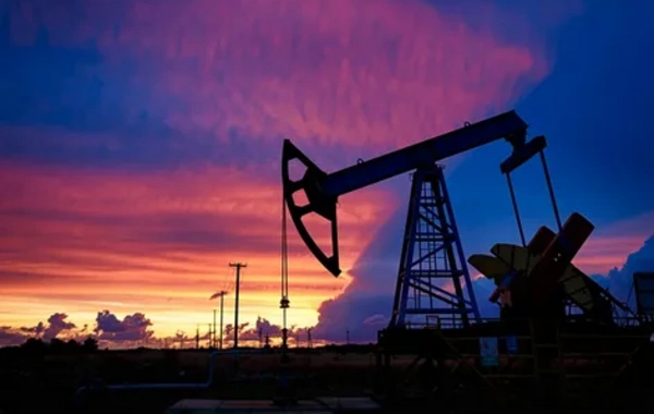 Brent oil fell in price