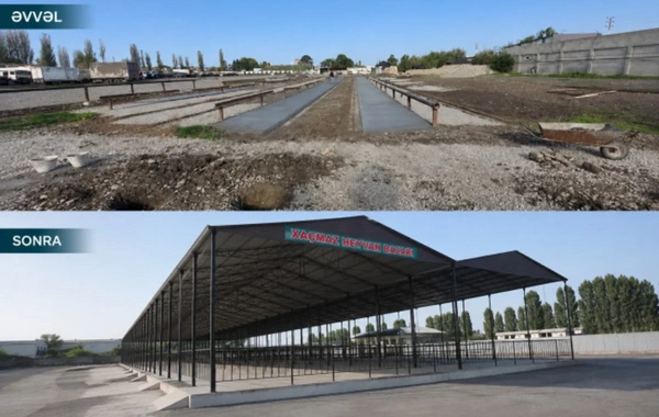 Xaçmazda heyvan bazarı fəaliyyətə başlayıb