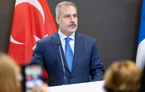 Hakan Fidan gürcüstanlı həmkarı ilə təyyarə qəzasını müzakirə edib