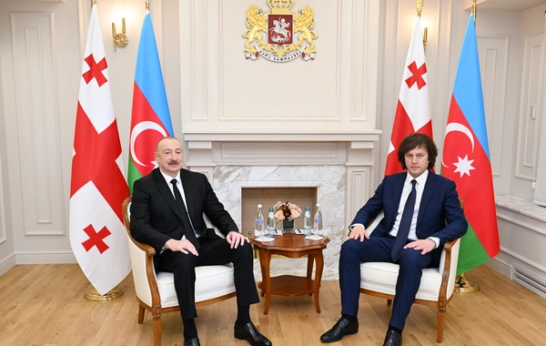 Azərbaycan Prezident və Gürcüstanın Baş naziri mətbuata bəyanatlarla çıxış edirlər