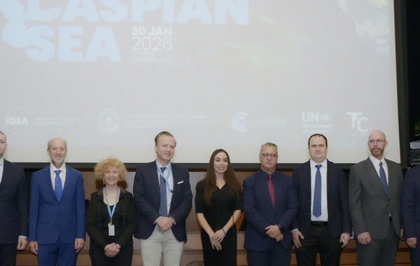 Лейла Алиева встретилась с генеральным директором Женевского офиса ООН