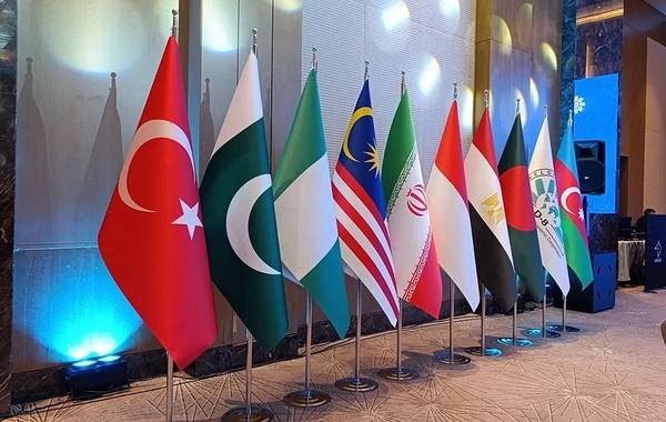 Euronews: Азербайджан углубляет сотрудничество с организацией D-8