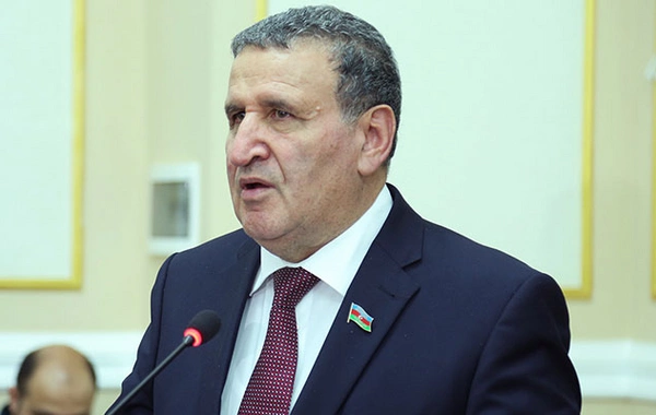 İsa Həbibbəyli: Azərbaycan dilinin saflığının qorunması nitq mədəniyyəti ilə bağlıdır