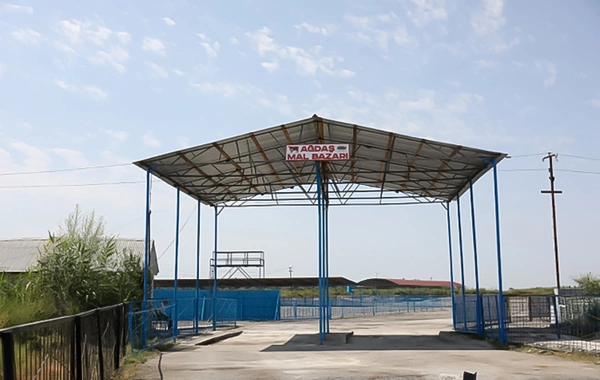 Ağdaş heyvan satışı bazarı fəaliyyətə başlayıb