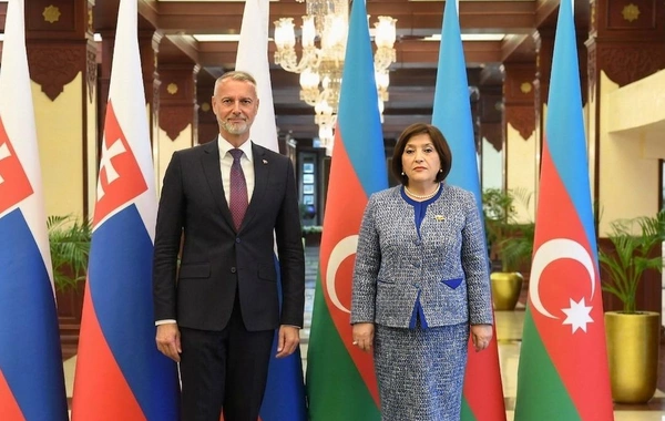 Sahibə Qafarova Slovakiya Milli Şurasının sədri ilə görüşüb