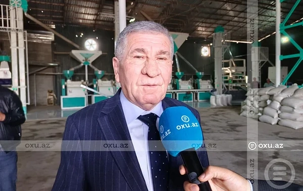 Ucarın çəltik emalı müəssisəsi qısa müddətdə 300 tondan çox məhsul qəbul edib