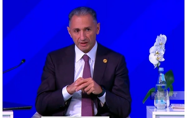 Rəşad Nəbiyev: Azərbaycanın rəqəmsal məhsulları Misirə ixrac üçün geniş imkanlara malikdir