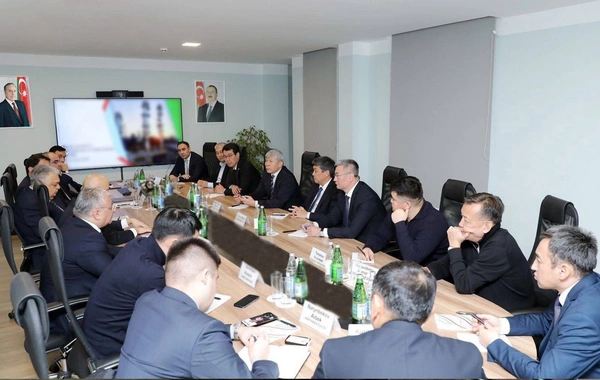 SOCAR обсудила возможности сотрудничества с Кыргызстаном