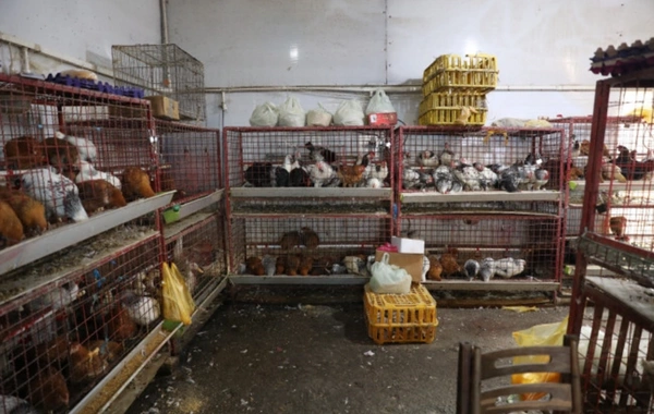 "8-ci km" bazarında bu yerin fəaliyyəti dayandırılıb