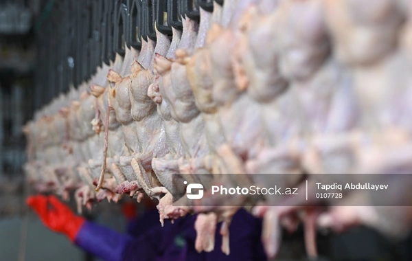 Куриное мясо становится популярнее говядины в Азербайджане - ПРИЧИНА