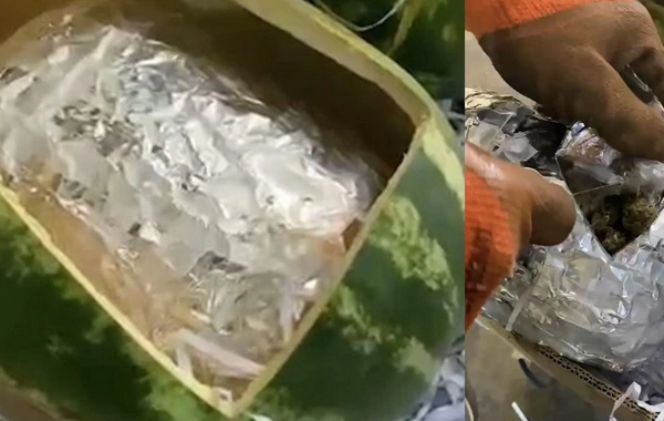 Azərbaycan gömrükçüləri qarpızdan narkotik vasitə aşkarlayıb