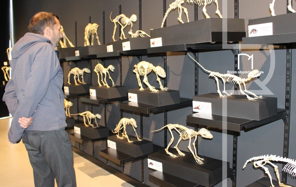 Palçıq Vulkanları Turizm Kompleksi – Azərbaycanın təbiət möcüzələrinə açılan yeni qapı