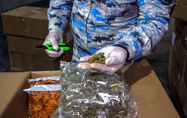 "Quru meyvə" adı ilə 112 kiloqramdan artıq narkotiki ölkəyə keçirmək istədilər