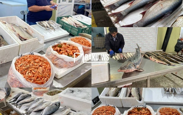 Bakıda balıq yarmarkası fəaliyyətə başladı