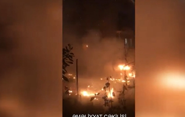 Bakıda ağaclıq sahədə baş verən yanğının qarşısı alınıb