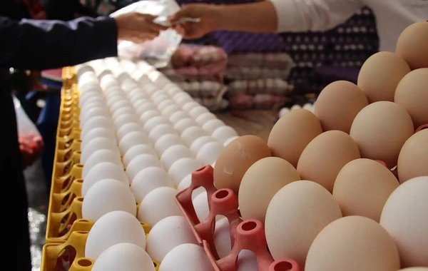 Azərbaycanda yumurta ilə bağlı qıtlıq yarana bilər? - RƏSMİ CAVAB