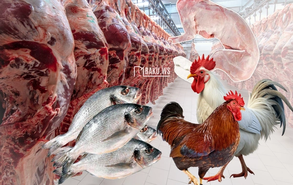 Hansı ət növü bədənə daha XEYİRLİDİR? - Dovşan, xoruz, balıq, camış....