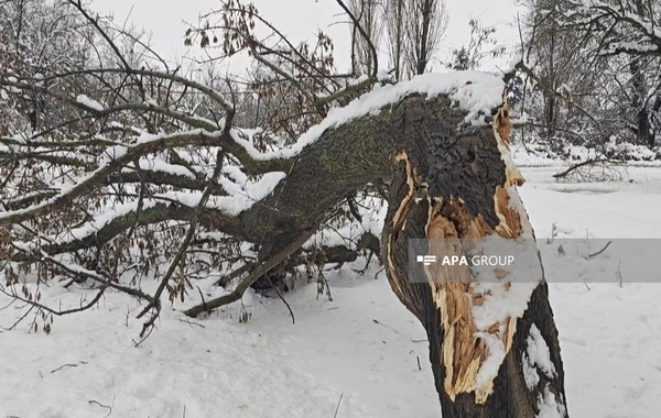 Cəlilabadda qarlı hava yol qəzalarına səbəb olub