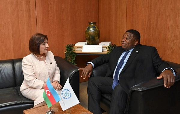 Sahibə Qafarova Parlamentlərarası İttifaqın Baş katibi ilə görüşüb