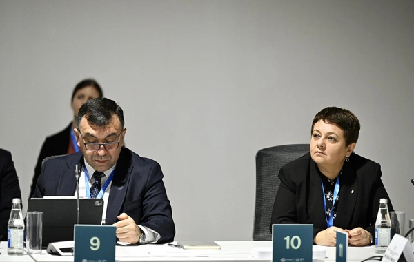 В рамках COP29 запущена Бакинская инициатива BICFIT
