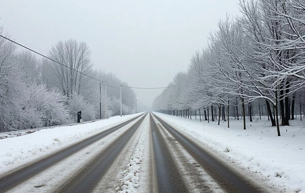 Sabah Azərbaycanın bəzi ərazilərində qar yağacaq